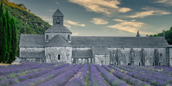 The Abby by TLR