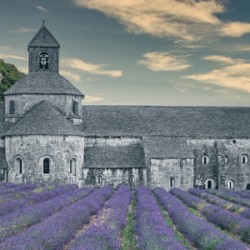 The Abby