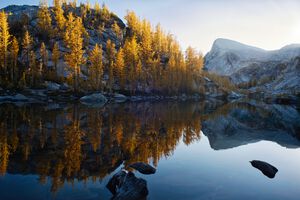 Alpenglow and Reflections on Perfection Lake with Golden Larches