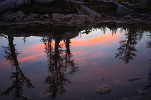 Morning Light on Leprechaun Lake
