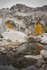 Golden Larches on Granite Bluffs