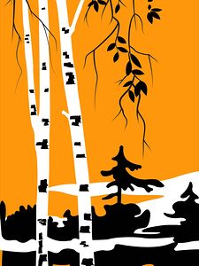 birch forest landscape nature