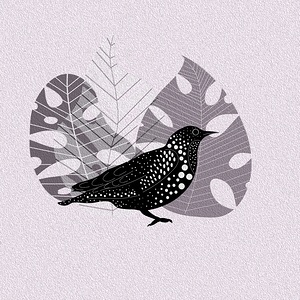 bird blackbird wings plants nature drawing animal