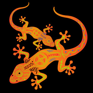 lizards reptiles nature animals wildlife colorful