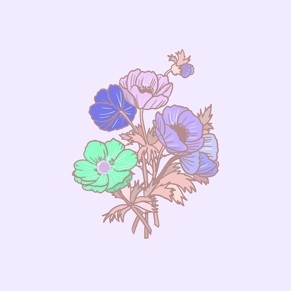 flowers poppy drawing bloom blossom art sketch fl Print