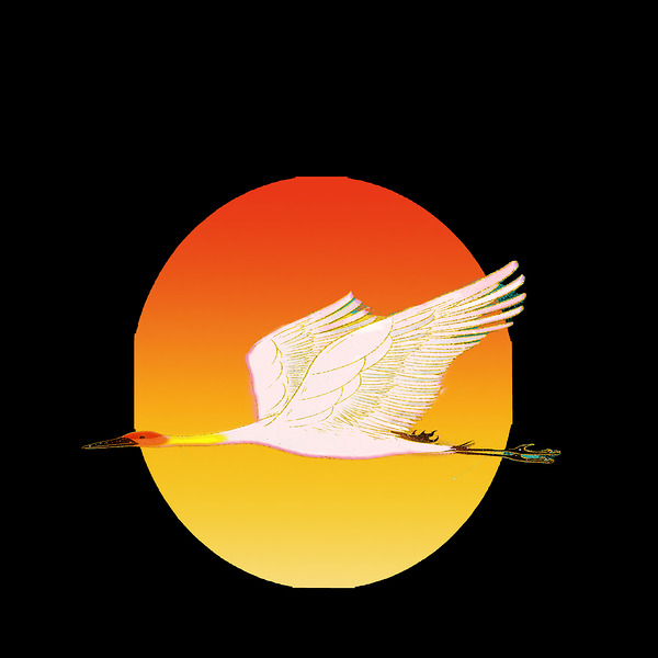 swan bird sun sunset nature morning landscape fly Print