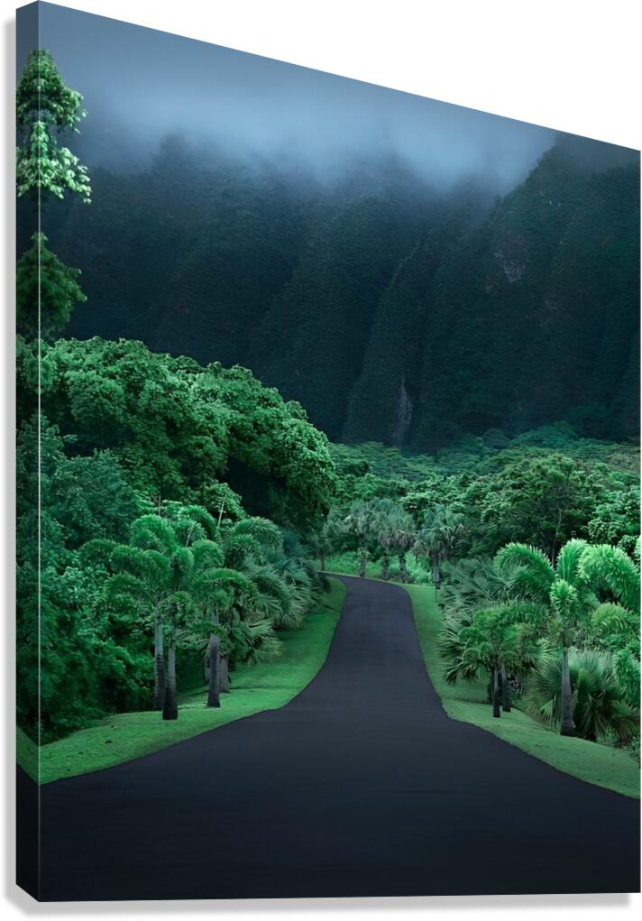 Green nature mountain road trees Canvas Print