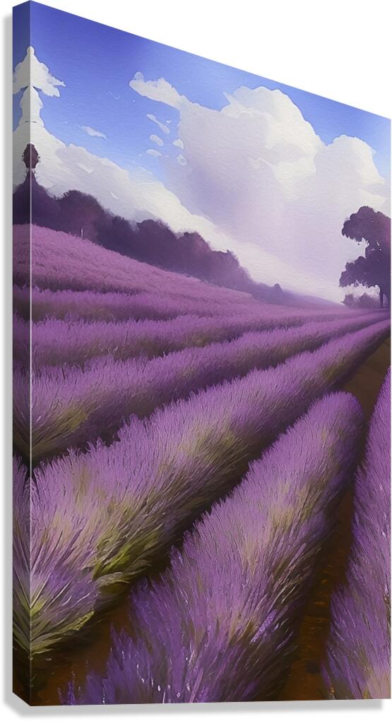 lavendar field nature setting landscape farm crop Canvas Print