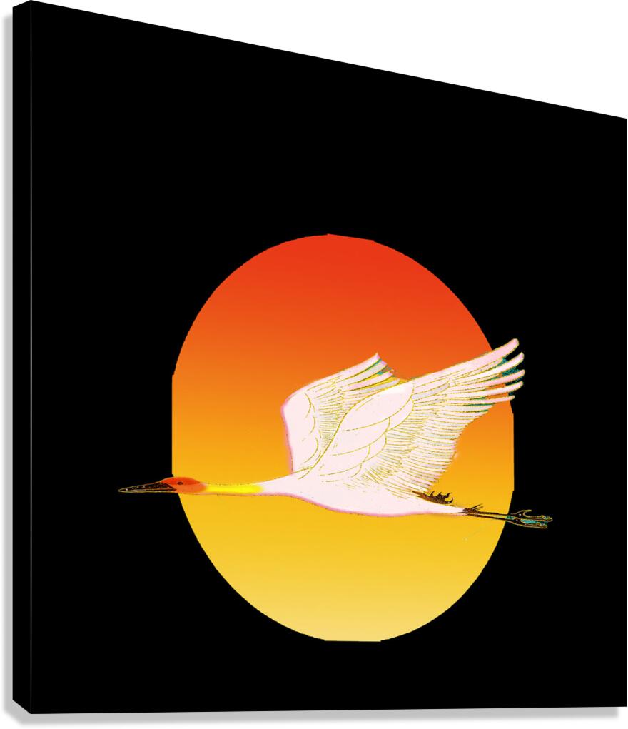swan bird sun sunset nature morning landscape fly Canvas Print