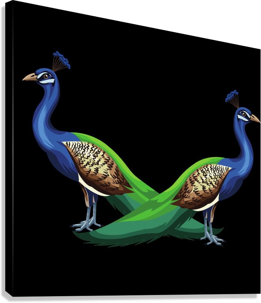 peacocks birds animals peafowls peafowls wildlife Canvas Print
