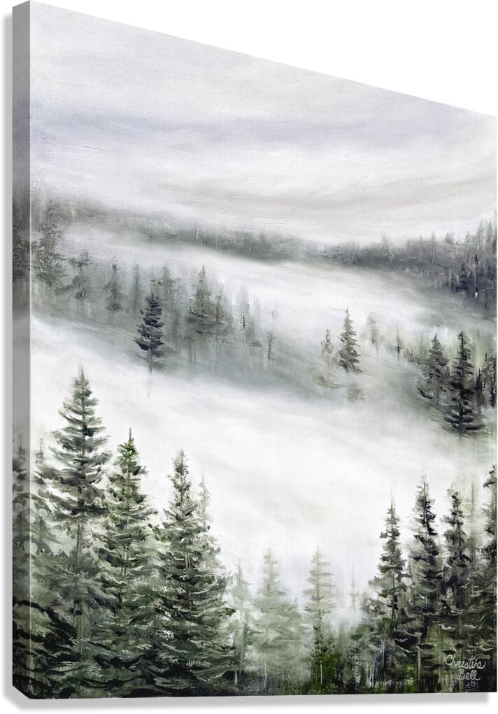 Beyond the Mist Canvas Print