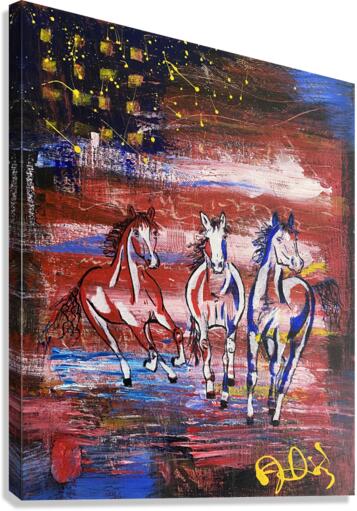 Merica Canvas Print