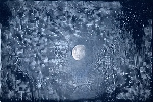 Cold Dark Night