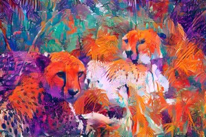 Not a Tame Cheetah