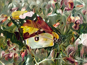 Upon Fragile Wings