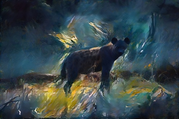 Watching Hyena by JAC