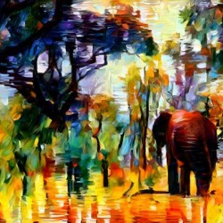 Walking Wisdom 