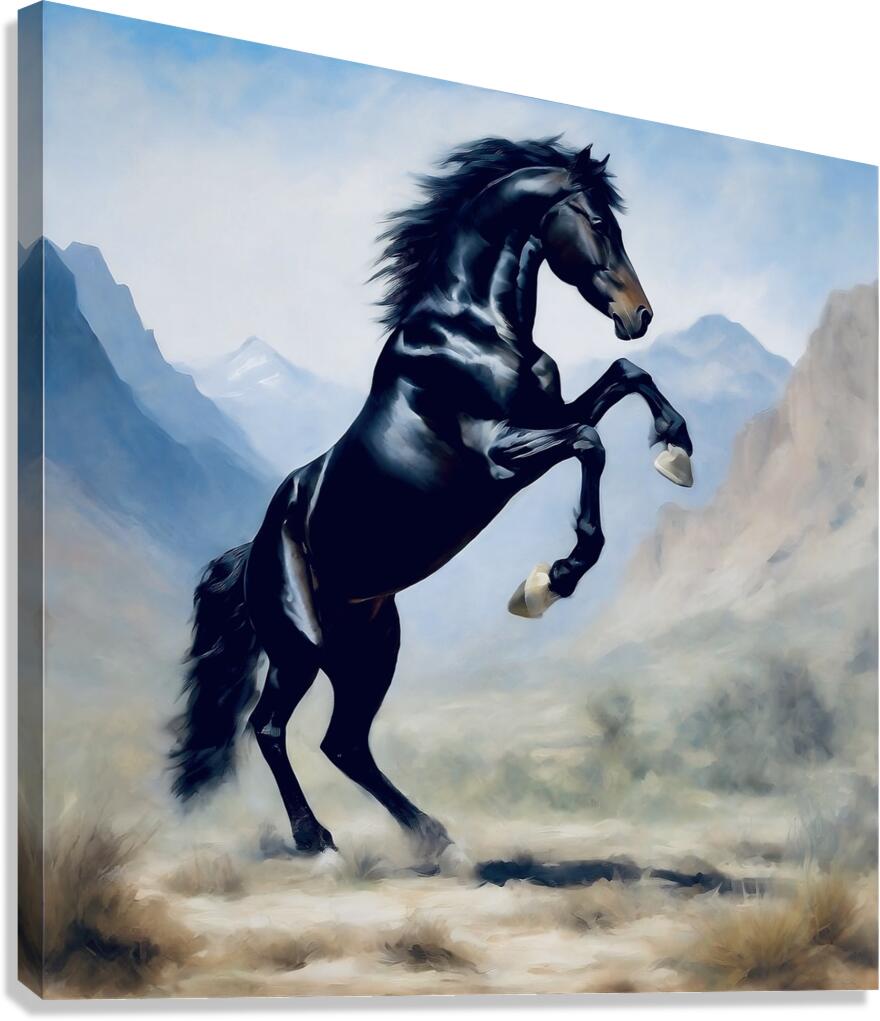 Wild stallion  Canvas Print