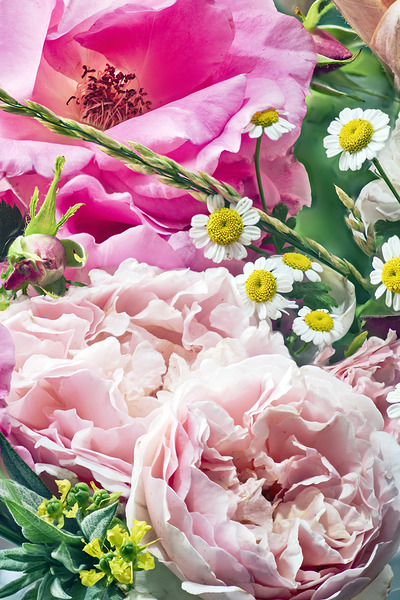 Abundant flowers Print