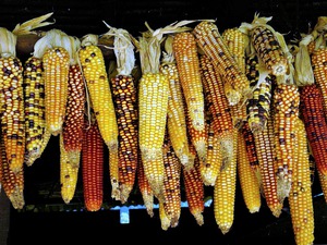 3385