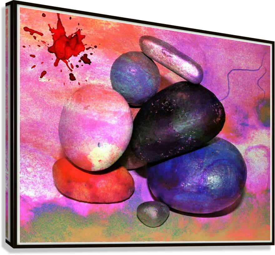 005 Canvas Print