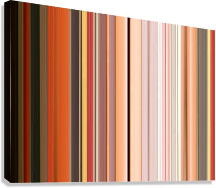 001 Canvas Print