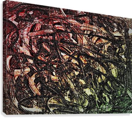 002 Canvas Print