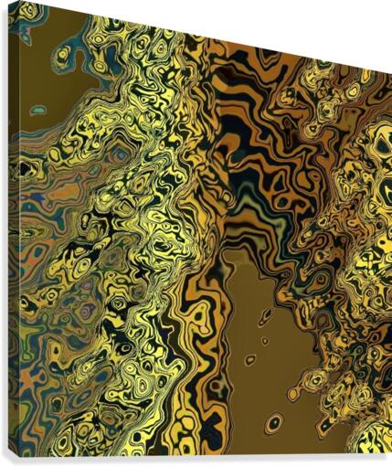 00B Canvas Print