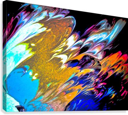 011 Canvas Print