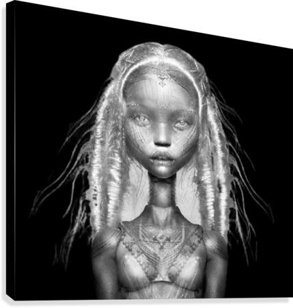 008 Canvas Print