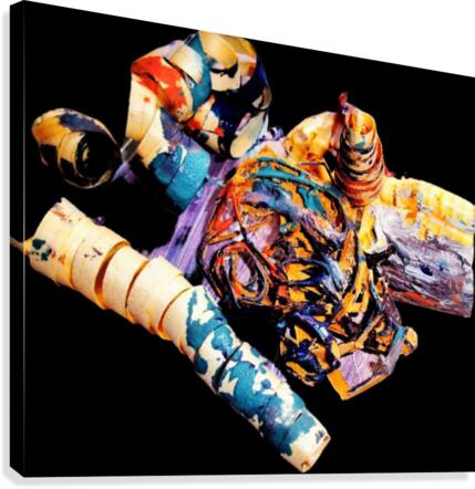 006 Canvas Print