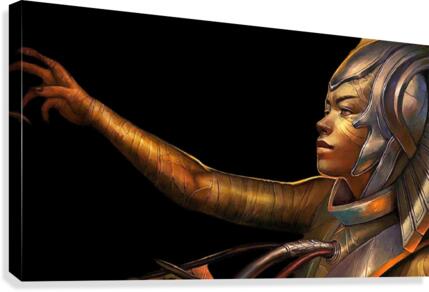 014 Canvas Print