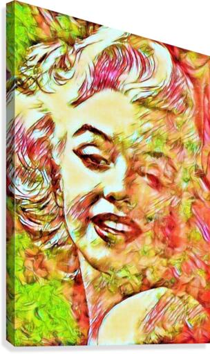 017 Canvas Print