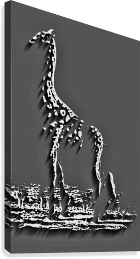 020 Canvas Print