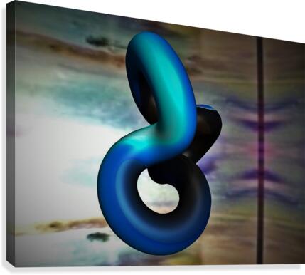 004 Canvas Print