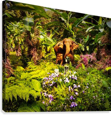 068 Canvas Print