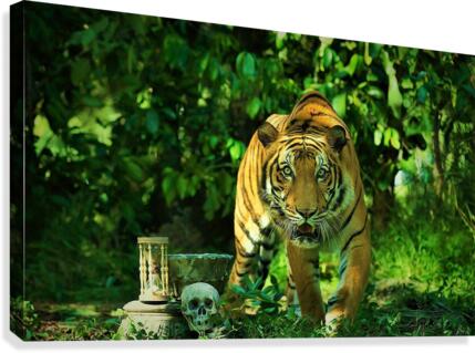 070 Canvas Print