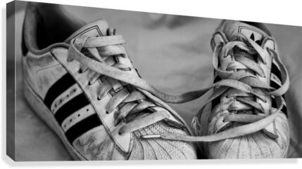 076 Canvas Print