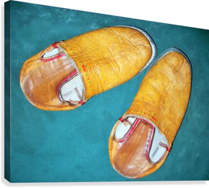 079 Canvas Print