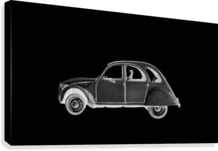096 Canvas Print