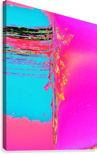 133 Canvas Print