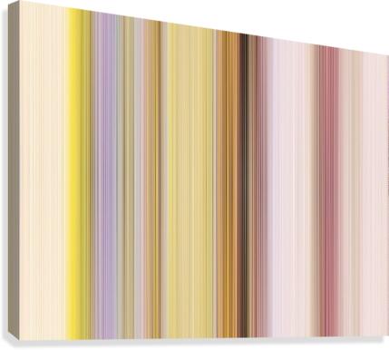 138 Canvas Print