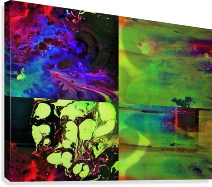 155 Canvas Print