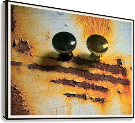 196 Canvas Print
