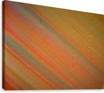 201 Canvas Print