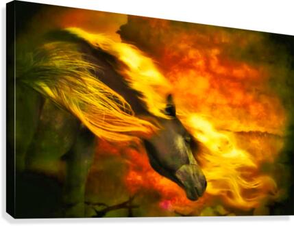 210 Canvas Print