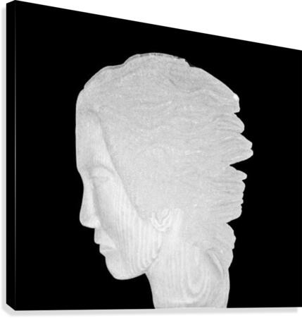 222 Canvas Print