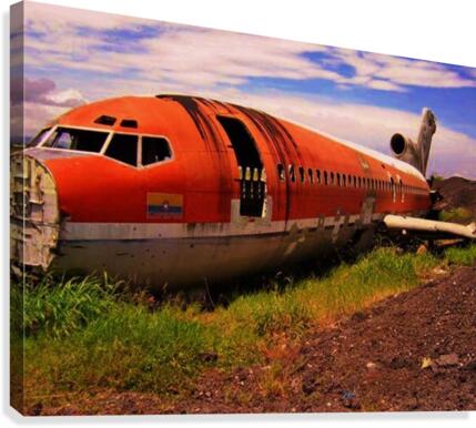 225 Canvas Print