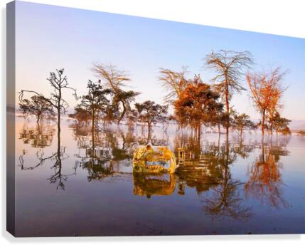 227 Canvas Print