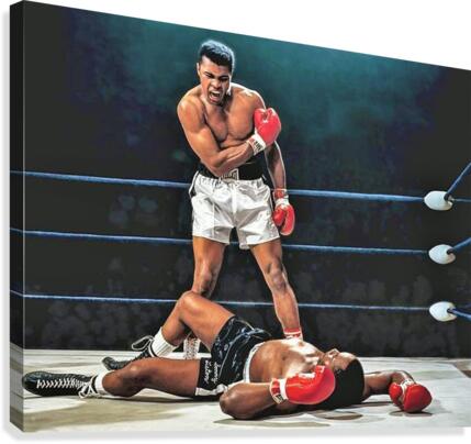 236 Canvas Print